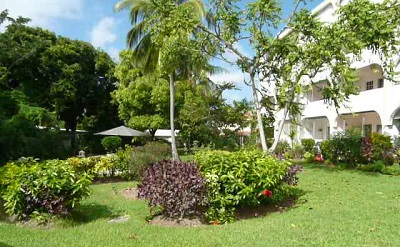 Golden View Gardens and Pool